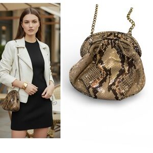 Bottega Veneta Style The Pouch Clutch Python Print Crossbody Bag
